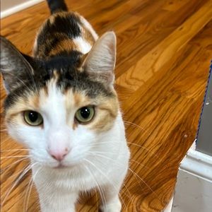 Meet your Posher, Nichole